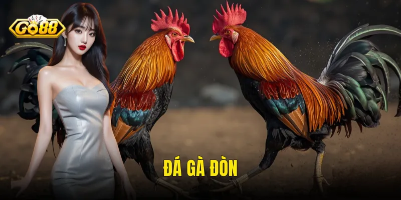 Đá Gà Đòn