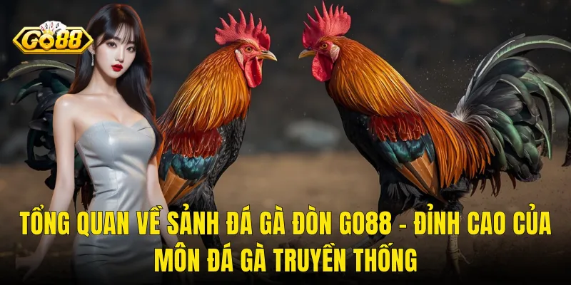 Tổng Quan Về Sảnh Đá Gà Đòn Go88 – Đỉnh Cao Của Môn Đá Gà Truyền Thống