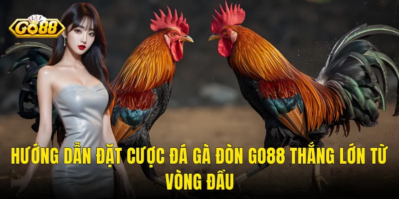 Hướng Dẫn Đặt Cược Đá Gà Đòn Go88 Thắng Lớn Từ Vòng Đầu