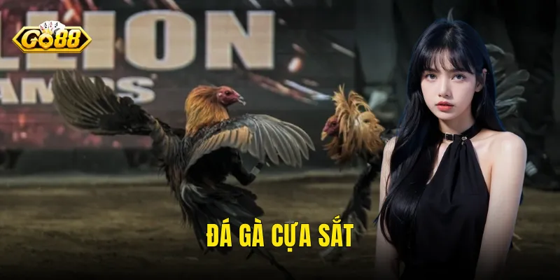 Đá Gà Cựa Sắt