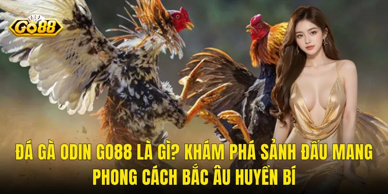 Đá Gà Odin Go88 Là Gì? Khám Phá Sảnh Đấu Mang Phong Cách Bắc Âu Huyền Bí
