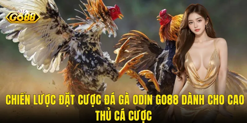 Chiến Lược Đặt Cược Đá Gà Odin Go88 Dành Cho Cao Thủ Cá Cược