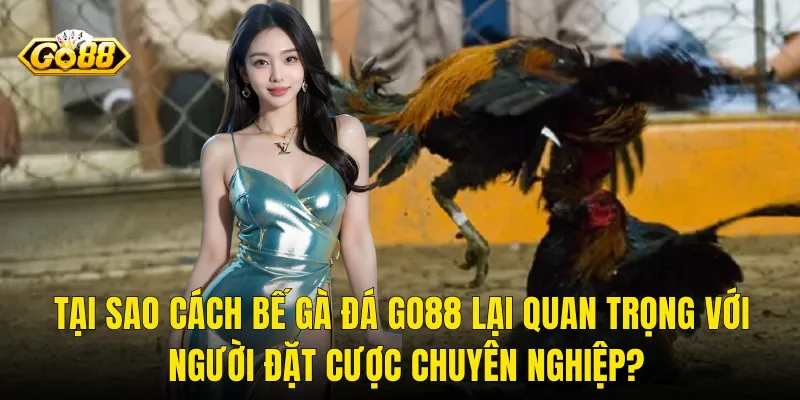 Tại Sao Cách Bế Gà Đá Go88 Lại Quan Trọng Với Người Đặt Cược Chuyên Nghiệp?