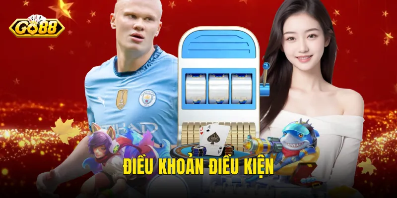 điều khoản điều kiện