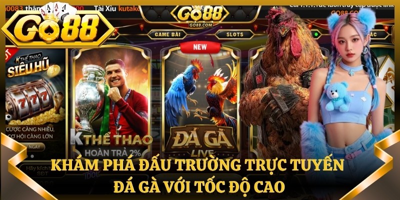 Khám phá đấu trường trực tuyến đá gà với tốc độ cao